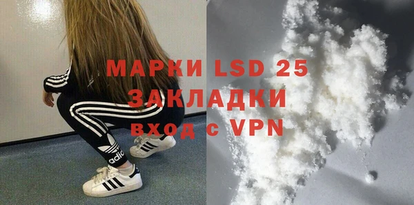 PSILOCYBIN Щигры